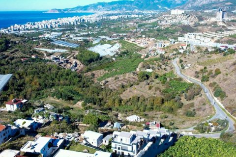 Villa  i Kargicak, Alanya, Antalya, Tyrkiet Nr. 222231 - 29