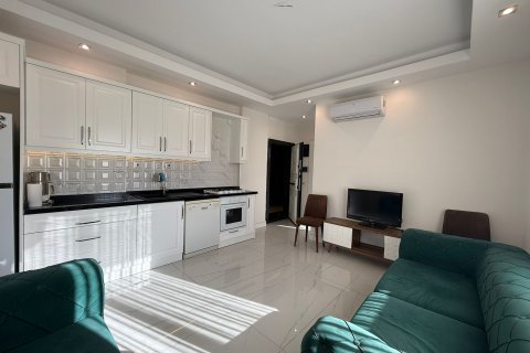 1+1 Wohnung  in Alanya, Antalya, Türkei Nr. 221762