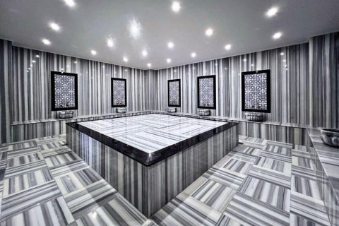 1+1 Wohnung  in Alanya, Antalya, Türkei Nr. 221762 - 14