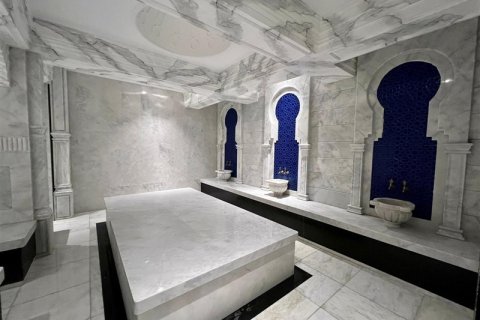 1+1 Wohnung  in Alanya, Antalya, Türkei Nr. 216671 - 17