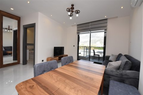 1+1 Wohnung  in Alanya, Antalya, Türkei Nr. 216671 - 27
