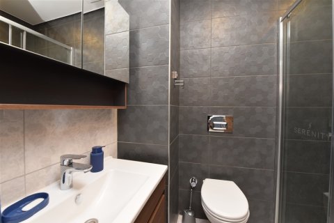 1+1 Wohnung  in Alanya, Antalya, Türkei Nr. 216671 - 9