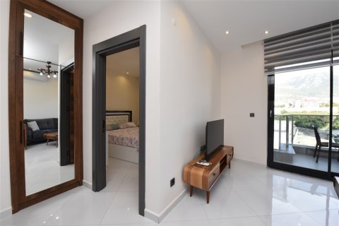 1+1 Wohnung  in Alanya, Antalya, Türkei Nr. 216671 - 26