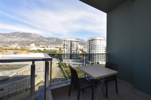 1+1 Wohnung  in Alanya, Antalya, Türkei Nr. 216671 - 12