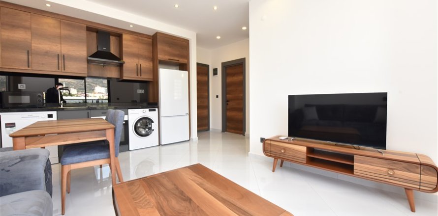 1+1 Wohnung  in Alanya, Antalya, Türkei Nr. 216671