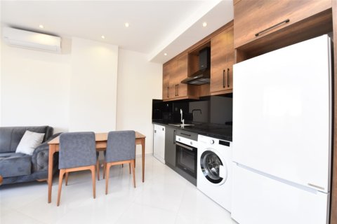 1+1 Wohnung  in Alanya, Antalya, Türkei Nr. 216671 - 6