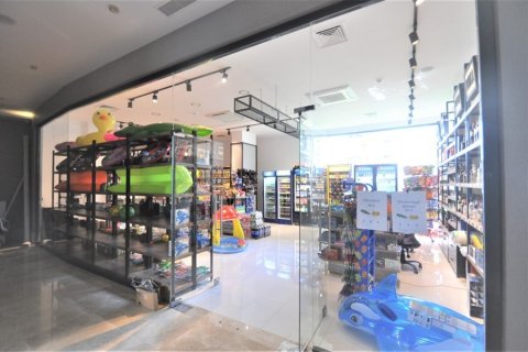 1+1 Wohnung  in Alanya, Antalya, Türkei Nr. 216671 - 23