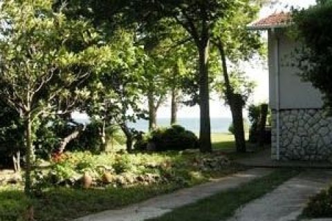 Tömma  i Bueyuekcekmece, istanbul, Turkiet Nr. 229004 - 6