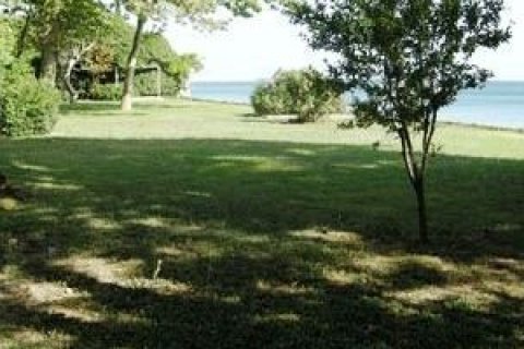 Tömma  i Bueyuekcekmece, istanbul, Turkiet Nr. 229004 - 4