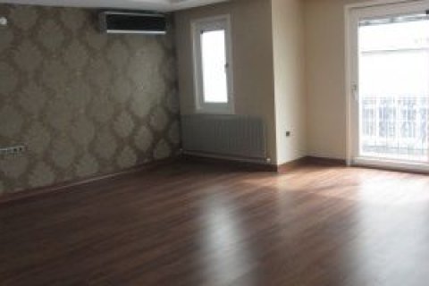 4+1 Lägenhet  i Fatih, Istanbul, istanbul, Turkiet Nr. 229001 - 3
