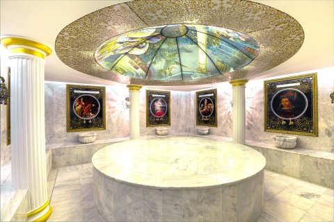 1+1 Lägenhet  i Alanya, Antalya, Turkiet Nr. 218828 - 12