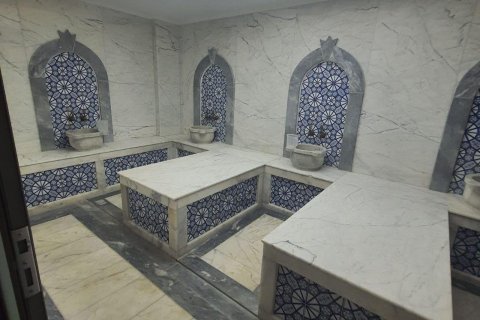 1+1 Leilighet  i Oba, Antalya, Tyrkia Nr. 225816 - 24