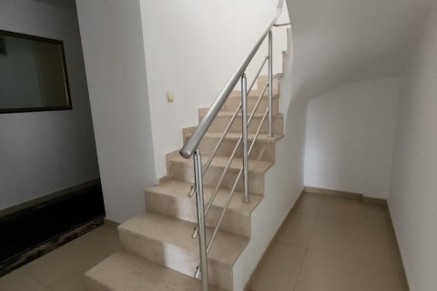 3+1 Lägenhet  i Mahmutlar, Antalya, Turkiet Nr. 221783 - 10