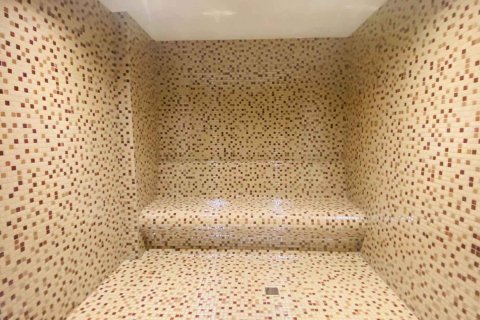 2+1 Wohnung  in Alanya, Antalya, Türkei Nr. 215902 - 32