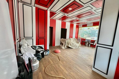 Ladengeschäft in Alanya, Antalya, Türkei Nr. 216429 - 7