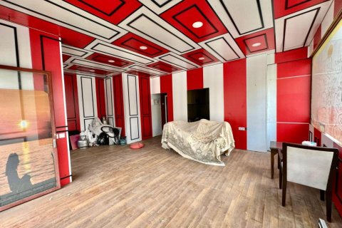 Ladengeschäft in Alanya, Antalya, Türkei Nr. 216429 - 4