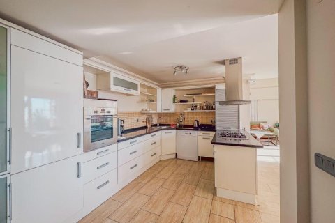 Villa for sale  in Tepe, Alanya, Antalya, Turkey, 270000m2, No. 221592 – photo 8