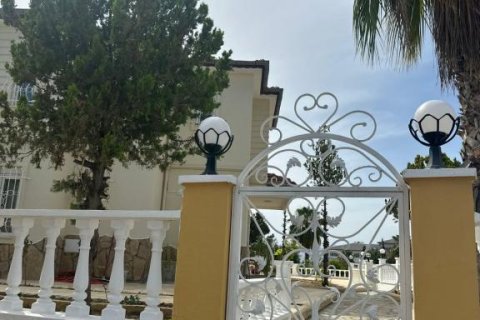 Villa  i Mahmutlar, Antalya, Turkiet Nr. 221587 - 23