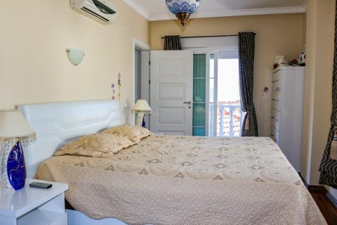 Villa  i Alanya, Antalya, Tyrkia Nr. 221590 - 9