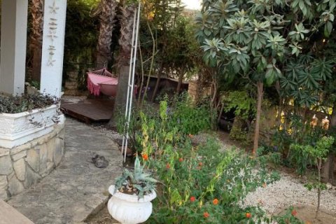 Villa  in Turkler, Alanya, Antalya, Türkei Nr. 221591 - 23