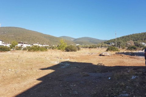 Arsa Didim, Aydın, Türkiye №233971 - 1