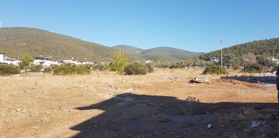 Arsa Didim, Aydın, Türkiye №233971