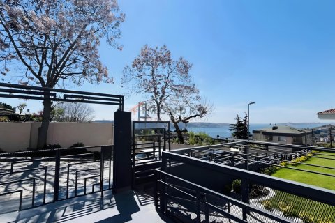 آپارتمان در Besiktas، Istanbul ، ترکیه 4 خوابه ، 210 متر مربع. شماره 225245 - 10