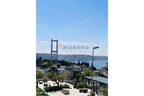 آپارتمان در Besiktas، Istanbul ، ترکیه 4 خوابه ، 210 متر مربع. شماره 225245 - 7