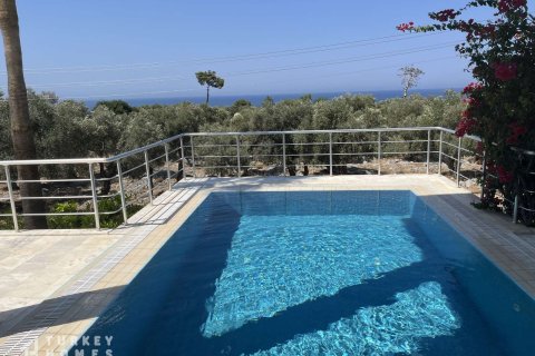 Villa  4+1  Dalaman, Muğla, Türkiye №233201 - 2