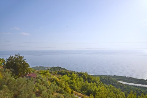 3+1 Villa  i Alanya, Antalya, Tyrkiet Nr. 216848