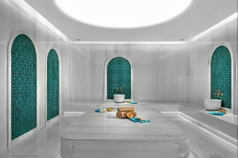 Hotel for sale  in Istanbul, Turkey, 1 bedroom, 70m2, No. 221976 – photo 10