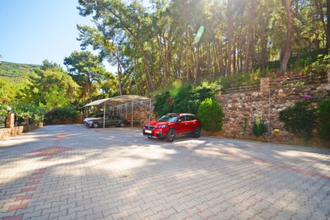 2+1 Lejlighed  i Alanya, Antalya, Tyrkiet Nr. 219394 - 17