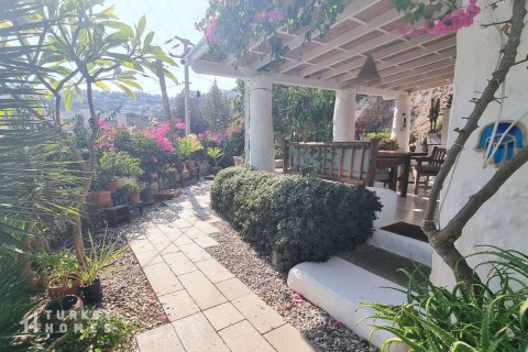 Villa  3+1  Gümüşlük, Muğla, Türkiye №233208 - 3