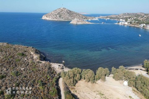 Villa  3+1  Gümüşlük, Muğla, Türkiye №233208 - 4