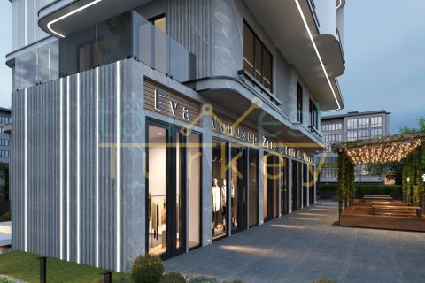 2+0 Lejlighed i Kadikoy, Istanbul, Tyrkiet Nr. 227554 - 5
