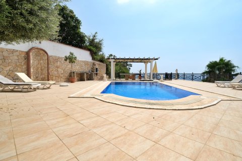 4+1 Villa  in Alanya, Antalya, Türkei Nr. 218011 - 23