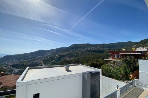 3+1 Villa  i Alanya, Antalya, Tyrkia Nr. 218014 - 8