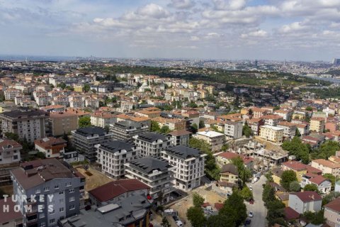 آپارتمان در  Istanbul ، ترکیه 1 خوابه ، 68 متر مربع.  شماره 233252 - 12