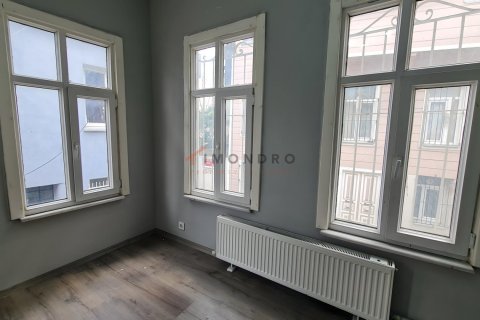 Продажа виллы  в Фатихе, Стамбуле, Турция 3+1, 160м2, №223133 – фото 6