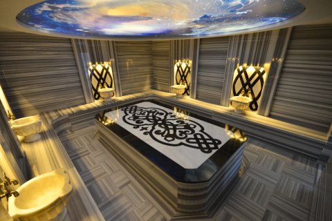 1+1 Wohnung  in Kestel, Schleimbeutel, Türkei Nr. 217386 - 11