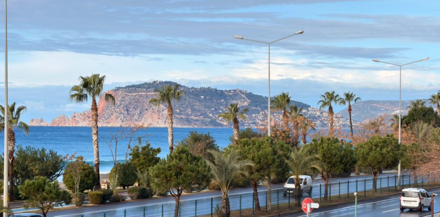 1+1 Wohnung  in Kestel, Schleimbeutel, Türkei Nr. 217386