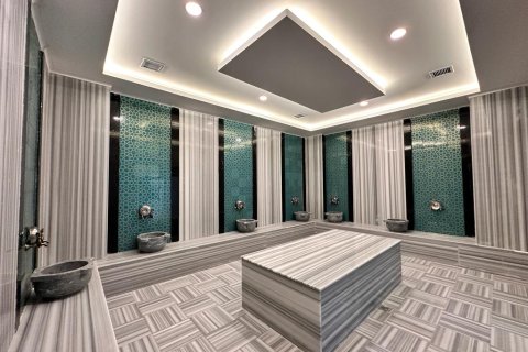 2+1 Leilighet  i Kestel, Bursa, Tyrkia Nr. 217384 - 19