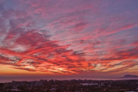 5+1 Lejlighed  i Mahmutlar, Antalya, Tyrkiet Nr. 217383 - 16