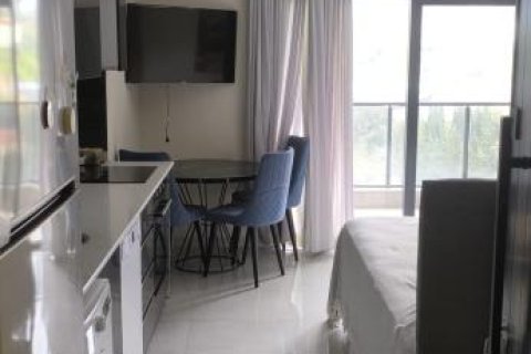 Продажа квартиры  в Махмутларе, Анталье, Турция студия, 32м2, №228084 – фото 5
