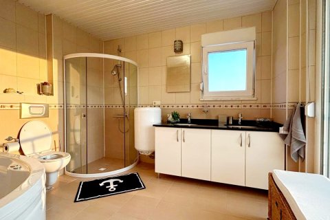 3+1 Villa  i Kestel, Antalya, Tyrkia Nr. 213583 - 24