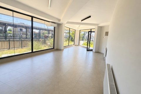 Gewerbeimmobilien in Maltepe, Istanbul, Türkei Nr. 232171 - 4