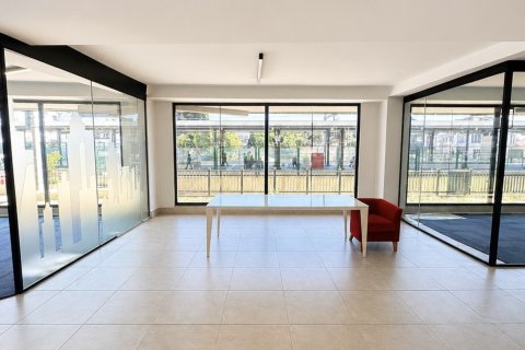 Gewerbeimmobilien in Maltepe, Istanbul, Türkei Nr. 232171 - 2
