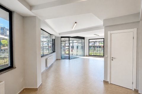 Gewerbeimmobilien  in Maltepe, Istanbul, Türkei Nr. 232171