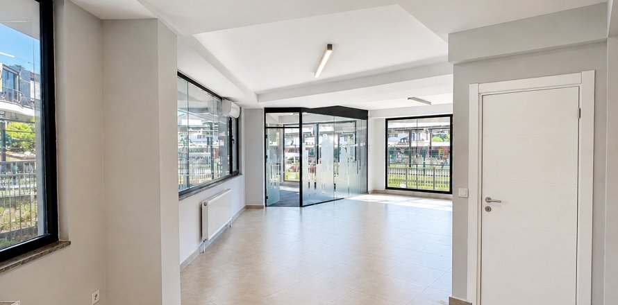 Gewerbeimmobilien in Maltepe, Istanbul, Türkei Nr. 232171