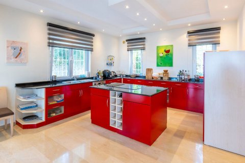 5+1 Villa  i Alanya, Antalya, Turkiet Nr. 221132 - 6